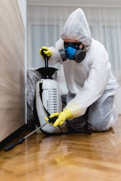 Emergency Pest Control Services in Terrell Hills, TX